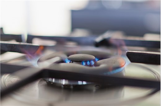 ʹ��ȼ�����Ԥ��ϵͳ��������ʲô��