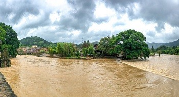 Ѵ | ƶſƼѴԡغءѴİ